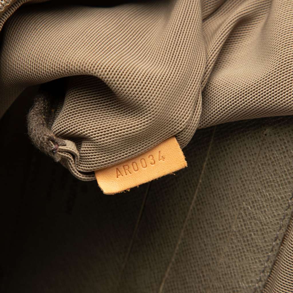 Louis Vuitton Damier Geant Ceinture Jogging Waist Bag - Detail 1