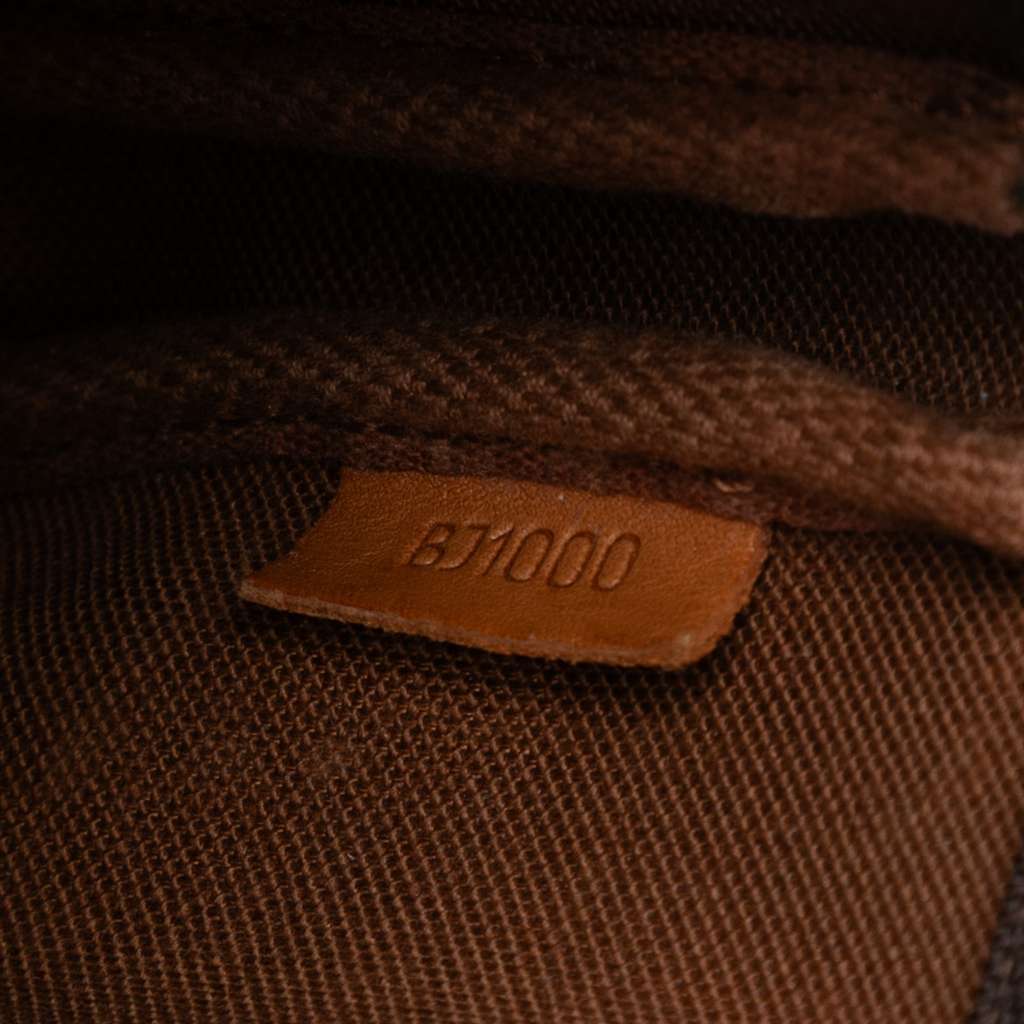 Louis Vuitton Monogram Pochette Accessoires - Side view