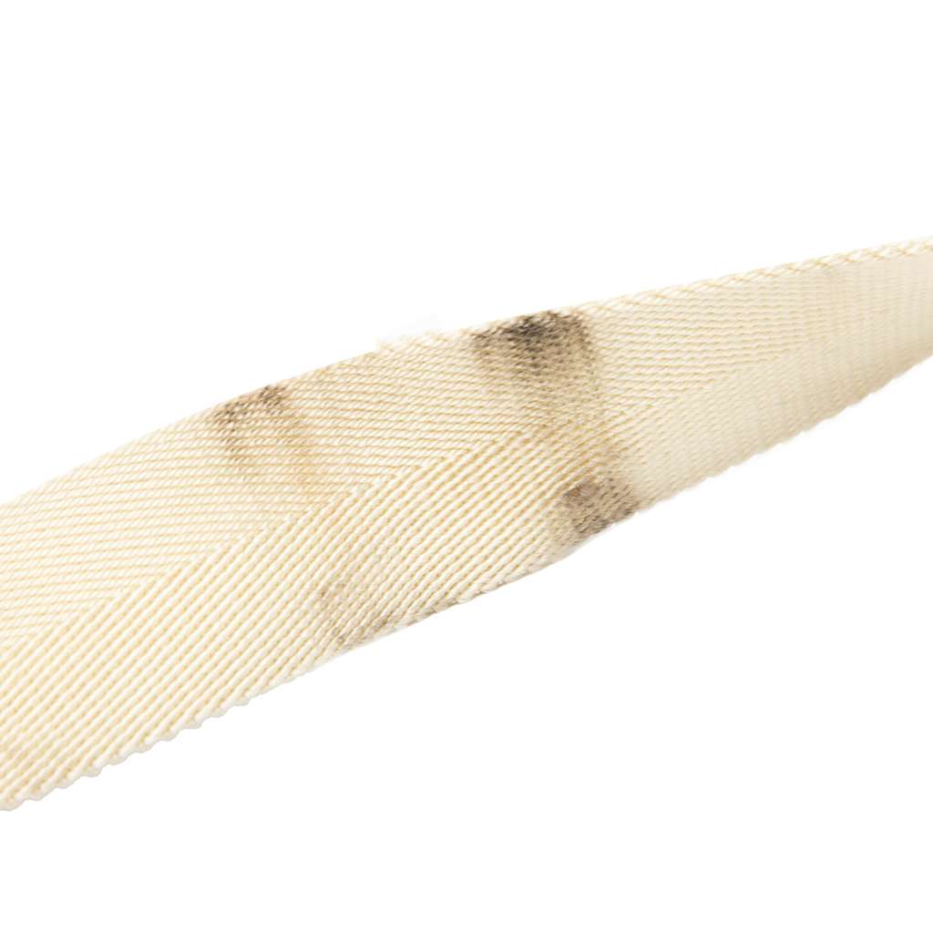 Gucci GG Canvas Crossbody - Detail 2