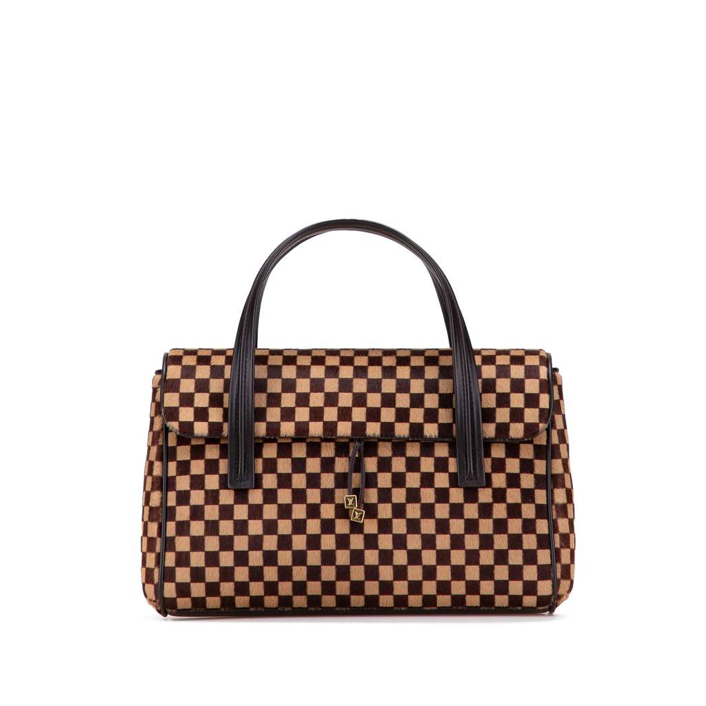 Louis Vuitton Damier Sauvage Lionne
