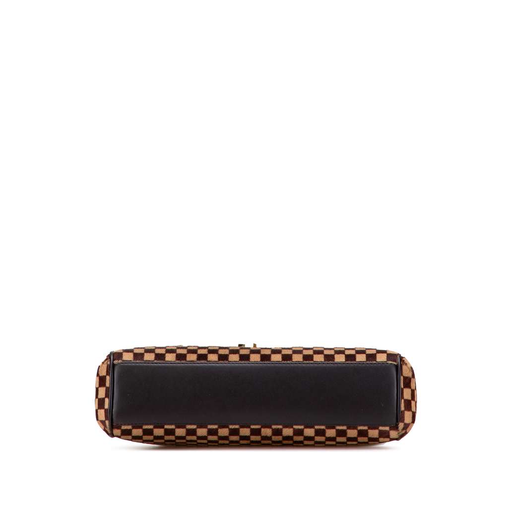 Louis Vuitton Damier Sauvage Lionne - 3