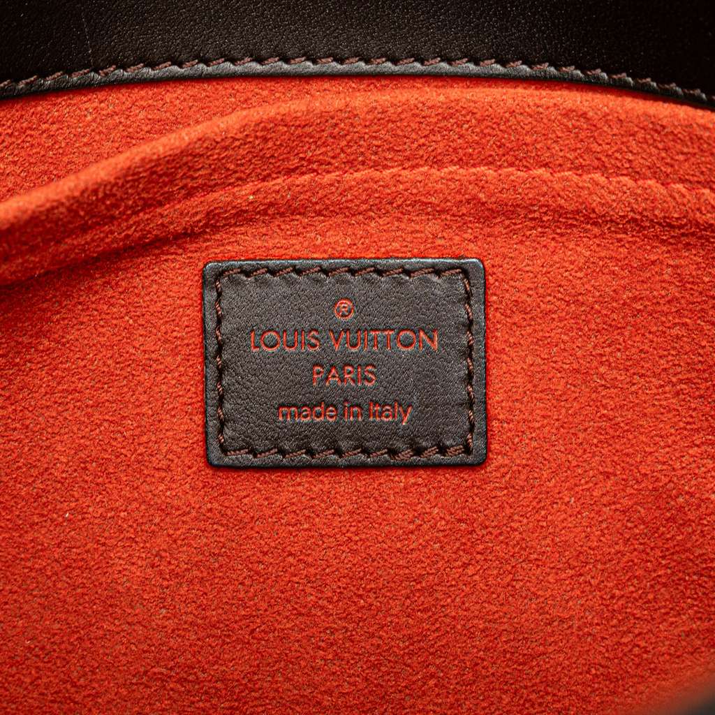 Louis Vuitton Damier Sauvage Lionne - 5