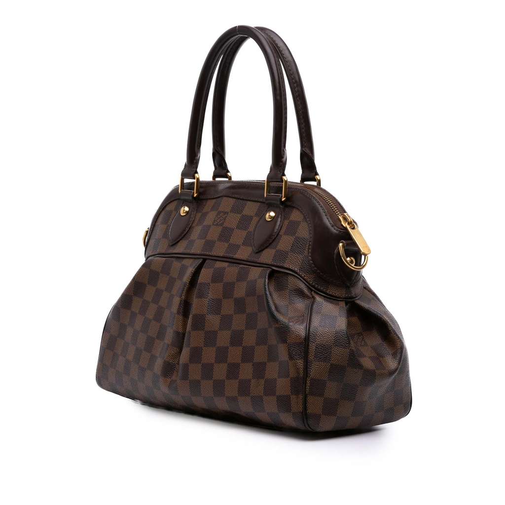 Louis Vuitton Damier Ebene Trevi PM - Back view