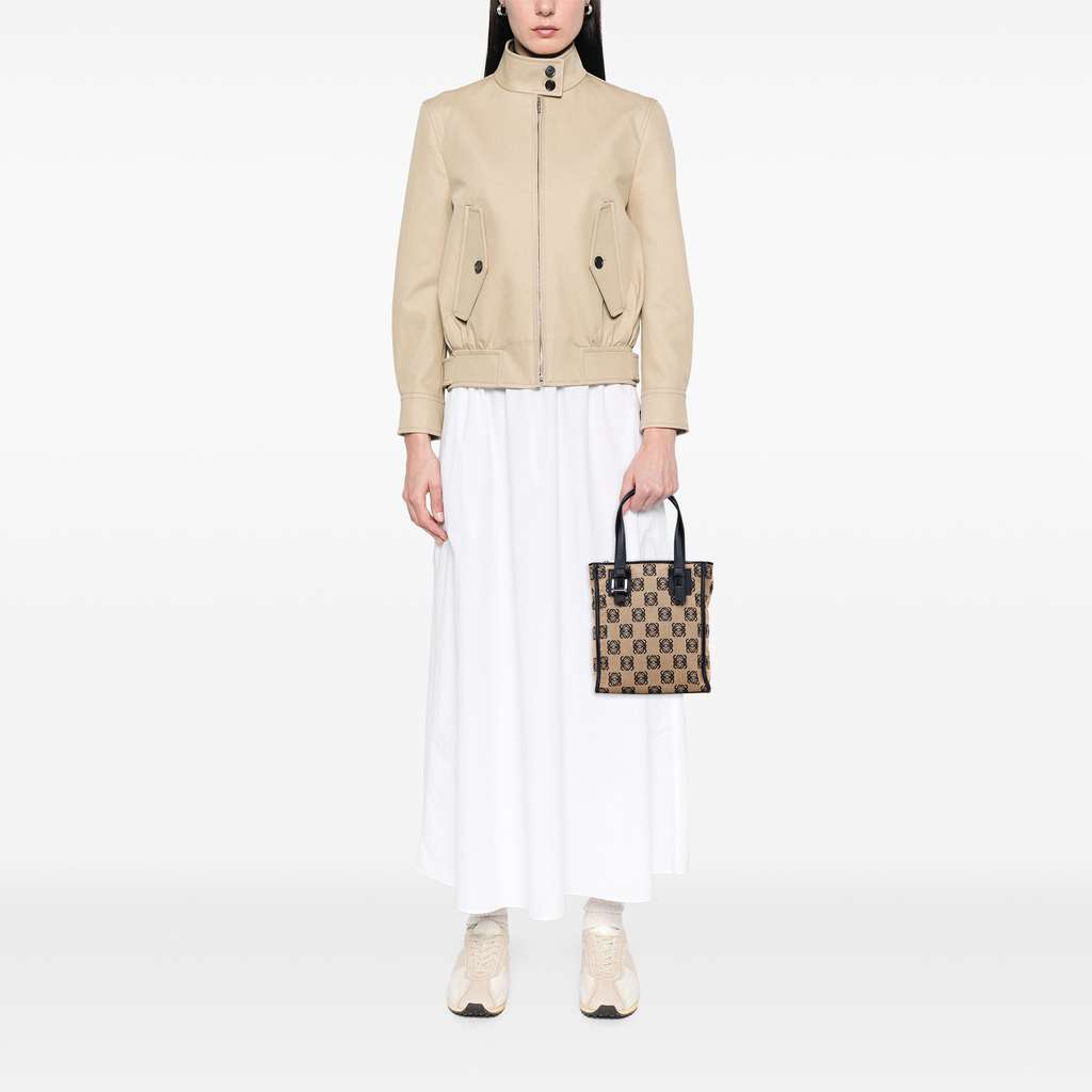 Loewe Anagram Canvas Handbag - Image 13