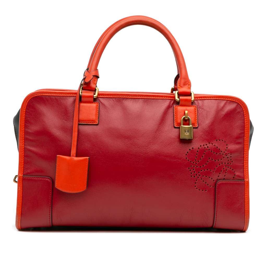 Loewe Tricolor Leather Amazona 36