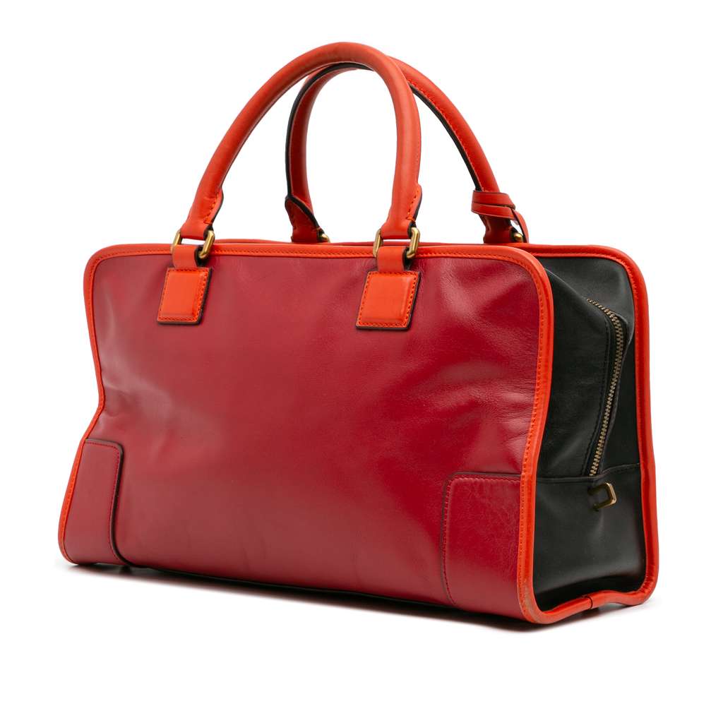 Loewe Tricolor Leather Amazona 36 - Back view