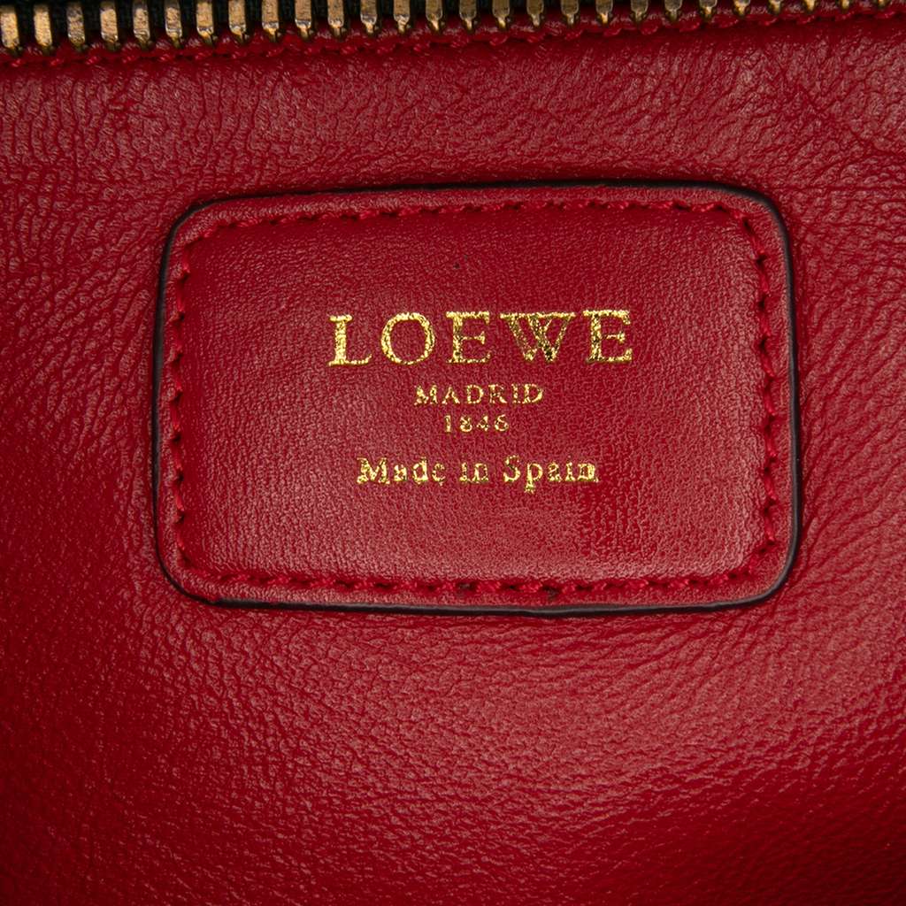 Loewe Tricolor Leather Amazona 36 - Side view