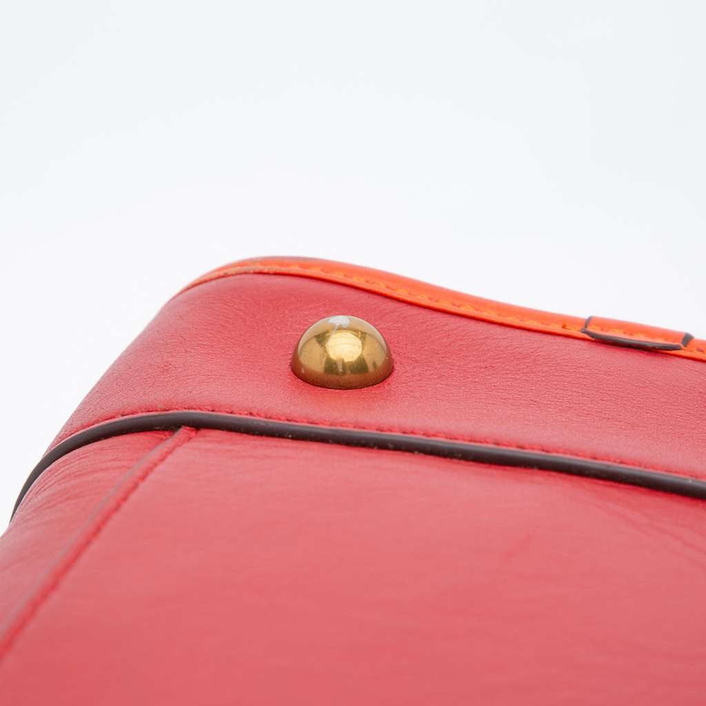 Loewe Tricolor Leather Amazona 36 - Detail 2