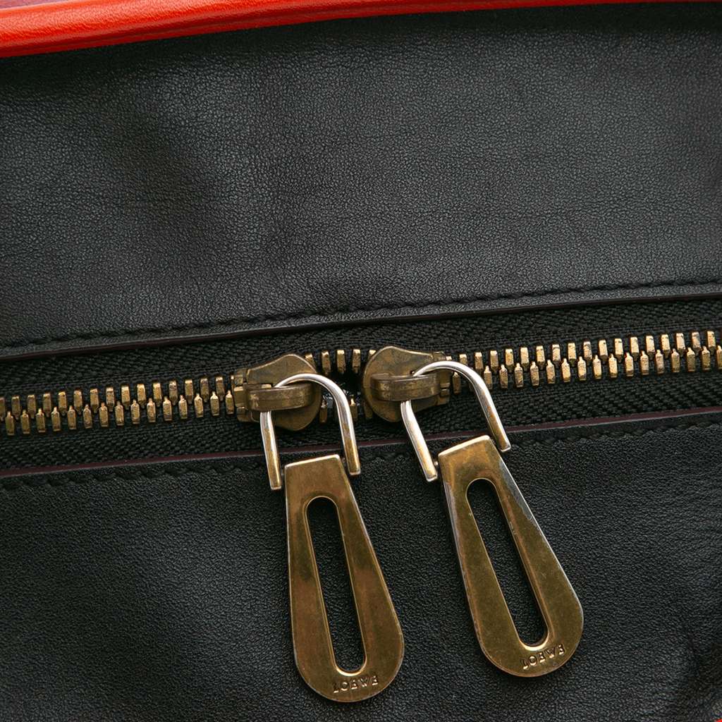 Loewe Tricolor Leather Amazona 36 - Image 10