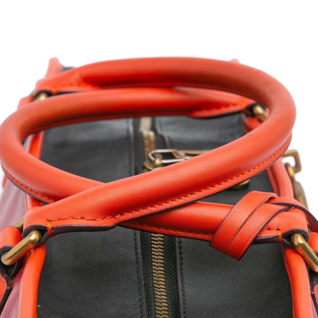 Loewe Tricolor Leather Amazona 36 - Image 11