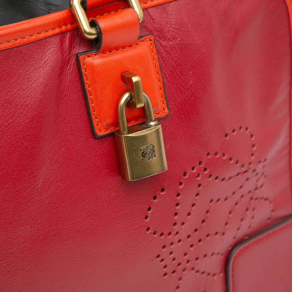 Loewe Tricolor Leather Amazona 36 - Image 12