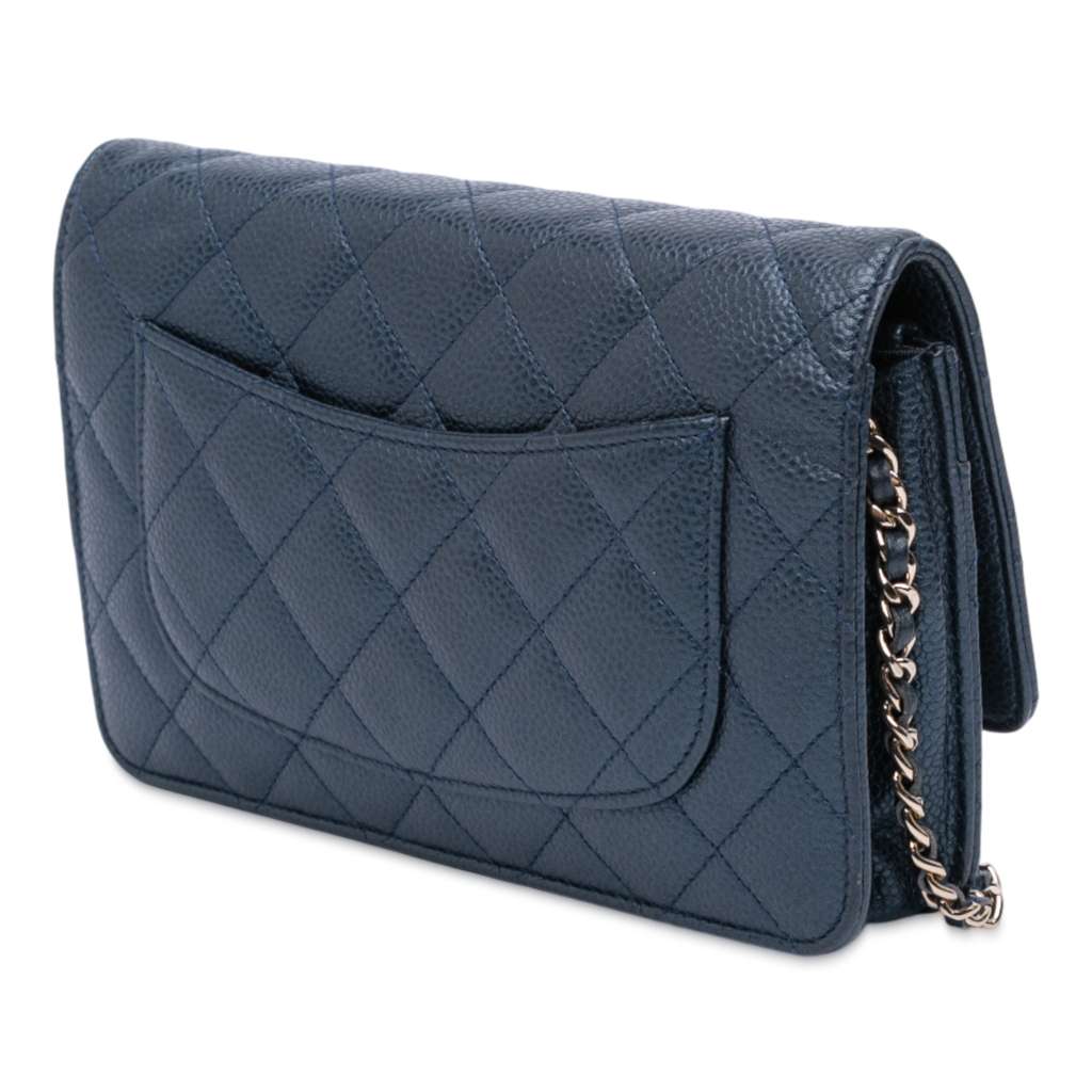 Chanel CC Quilted Iridescent Caviar Wallet on Chain - Back view