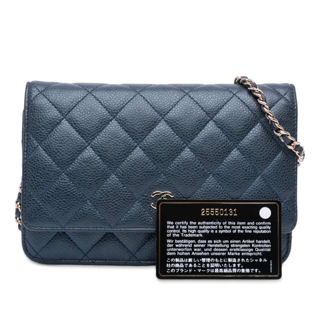 Chanel CC Quilted Iridescent Caviar Wallet on Chain - Image 14