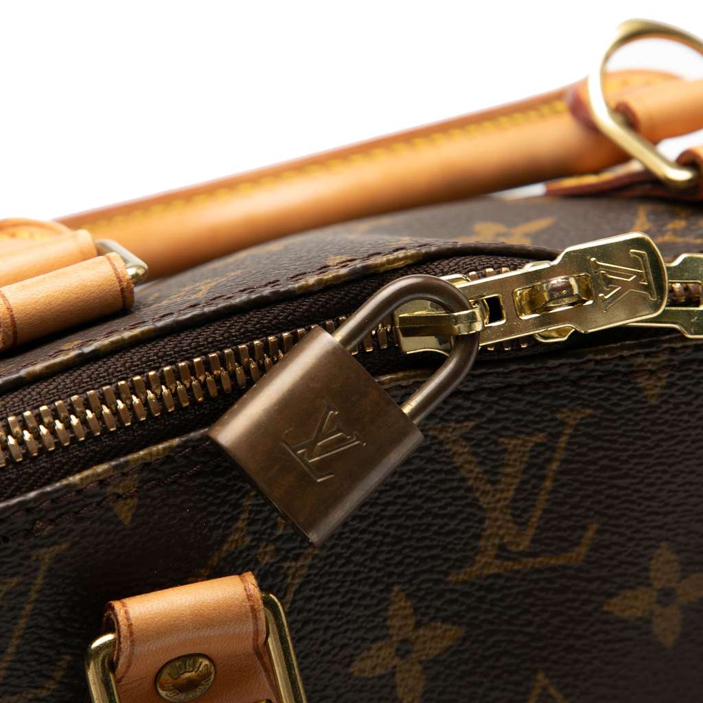 Louis Vuitton Monogram Alma PM - Detail 2