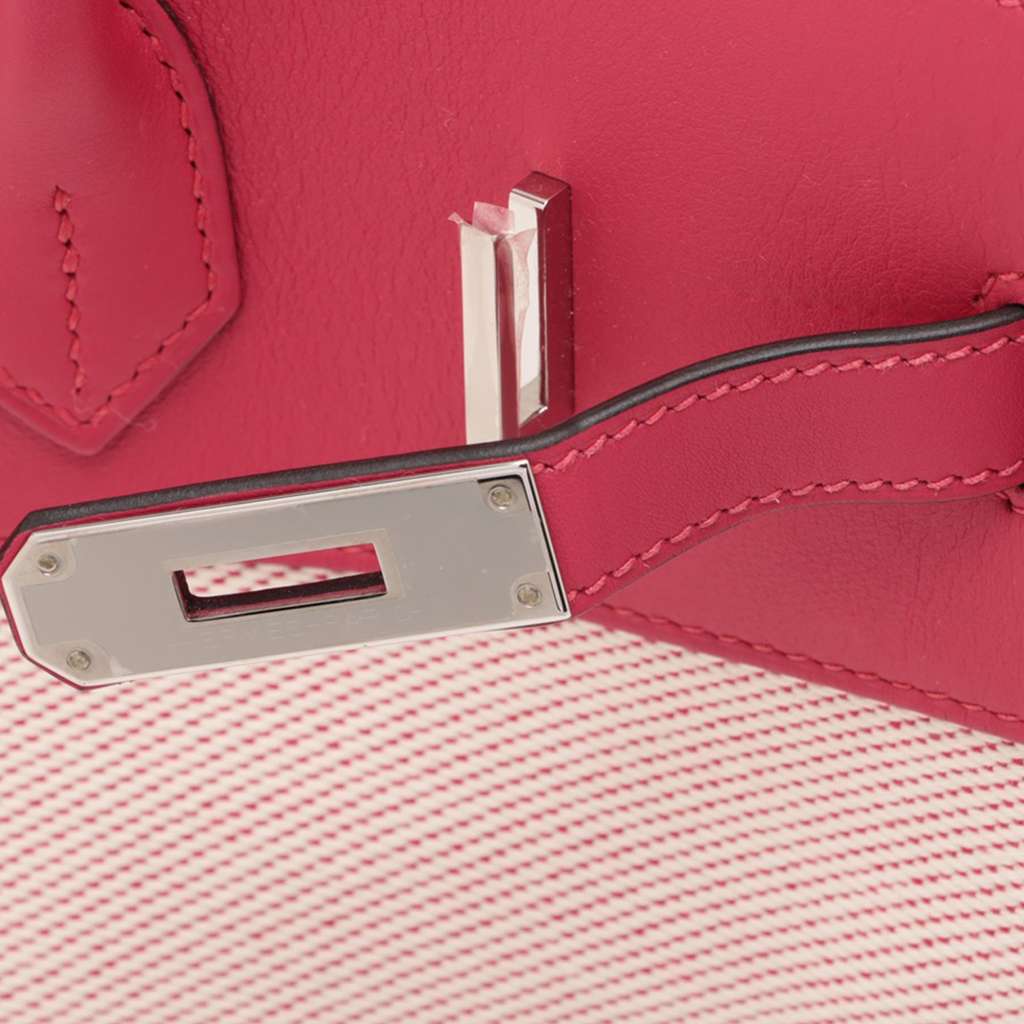 Hermès Toile H and Swift Fray Fray Birkin 35 - Side view