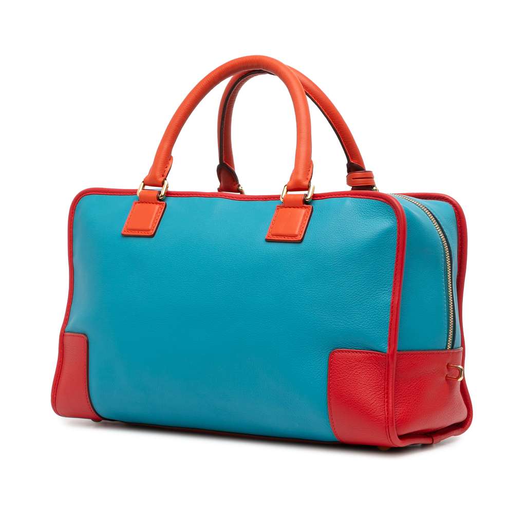 Loewe Tricolor Leather Amazona 36 - Back view