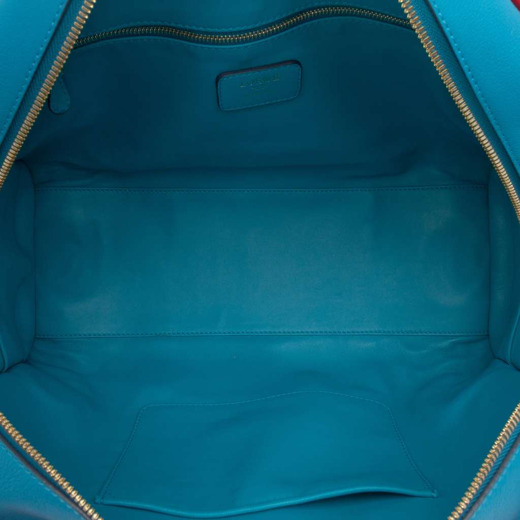 Loewe Tricolor Leather Amazona 36 - 4