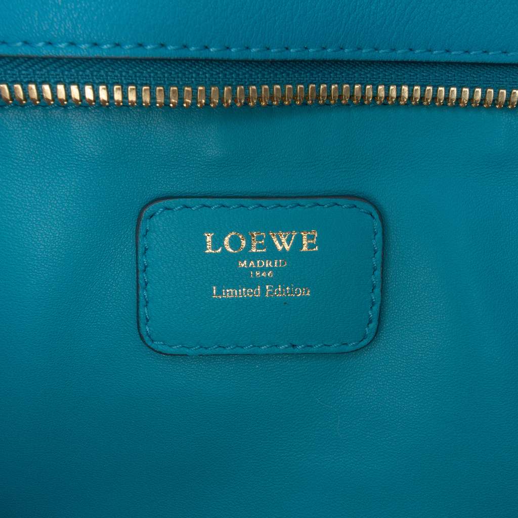 Loewe Tricolor Leather Amazona 36 - Side view