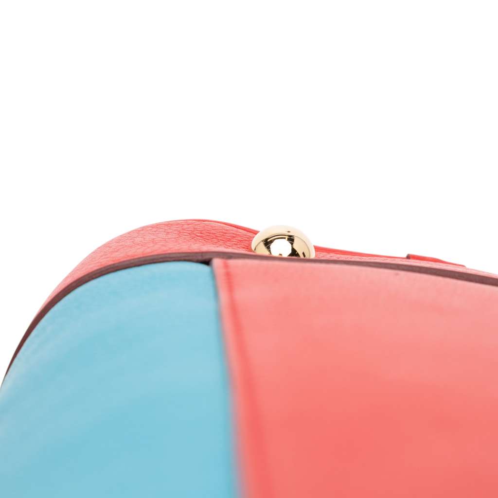 Loewe Tricolor Leather Amazona 36 - Detail 2