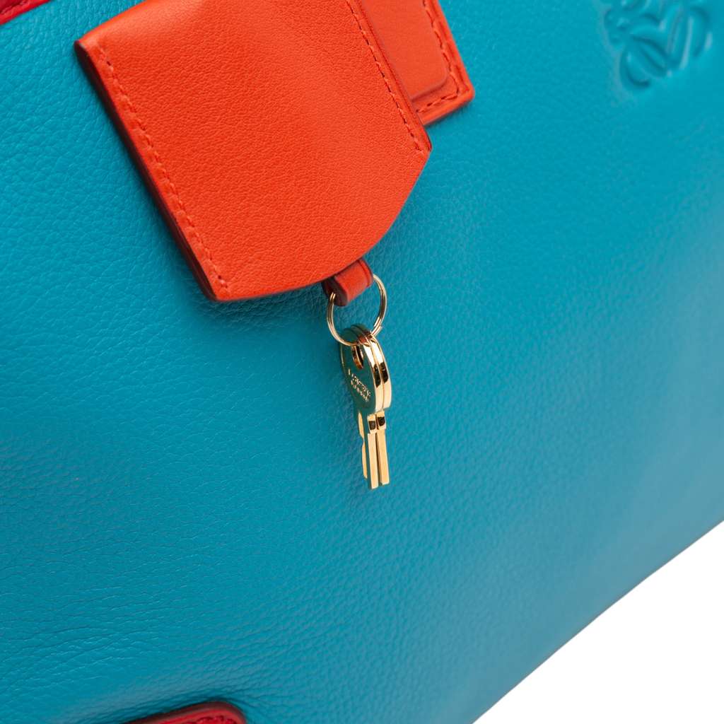 Loewe Tricolor Leather Amazona 36 - Image 10