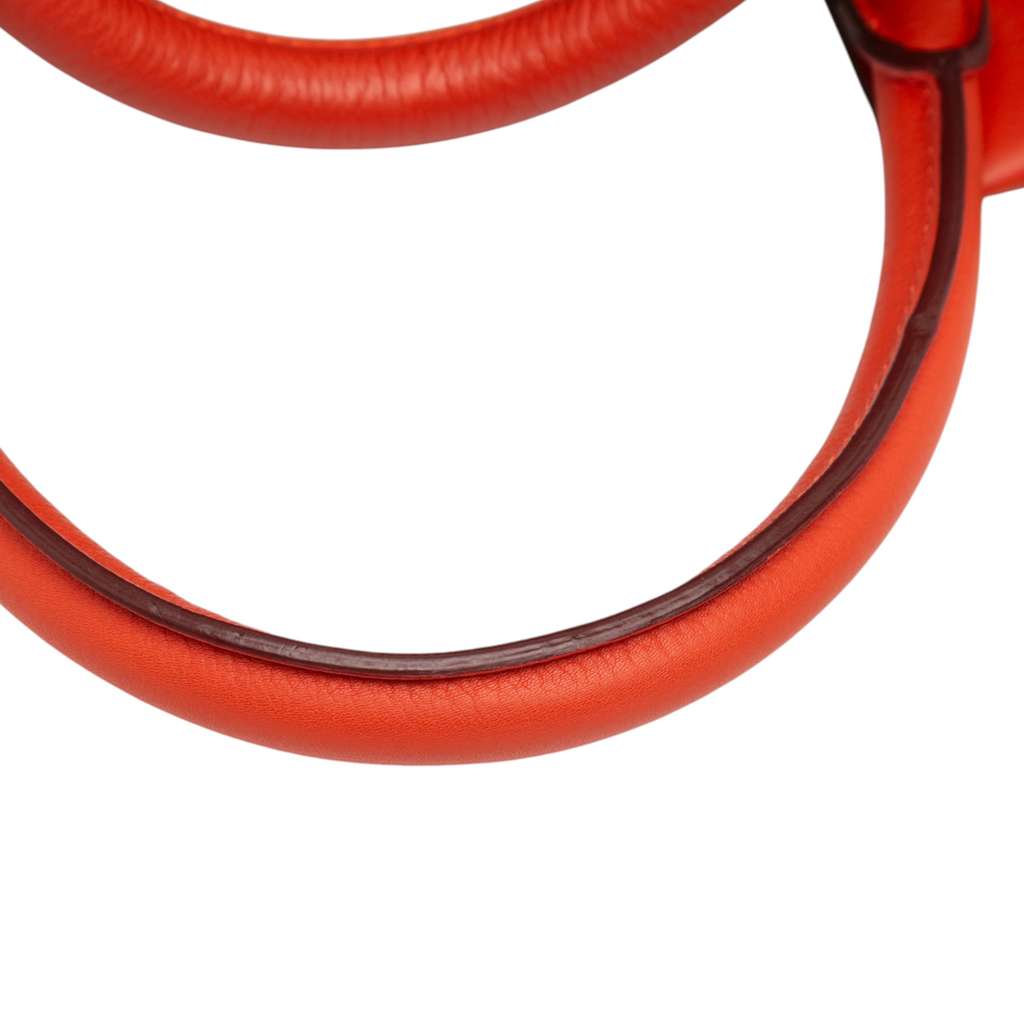 Loewe Tricolor Leather Amazona 36 - Image 12