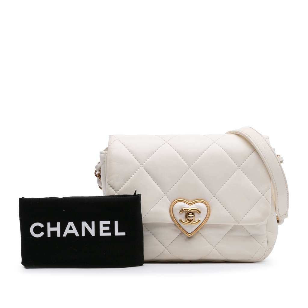 Chanel Mini Quilted Lambskin Acrylic Coco Love Flap - Image 13