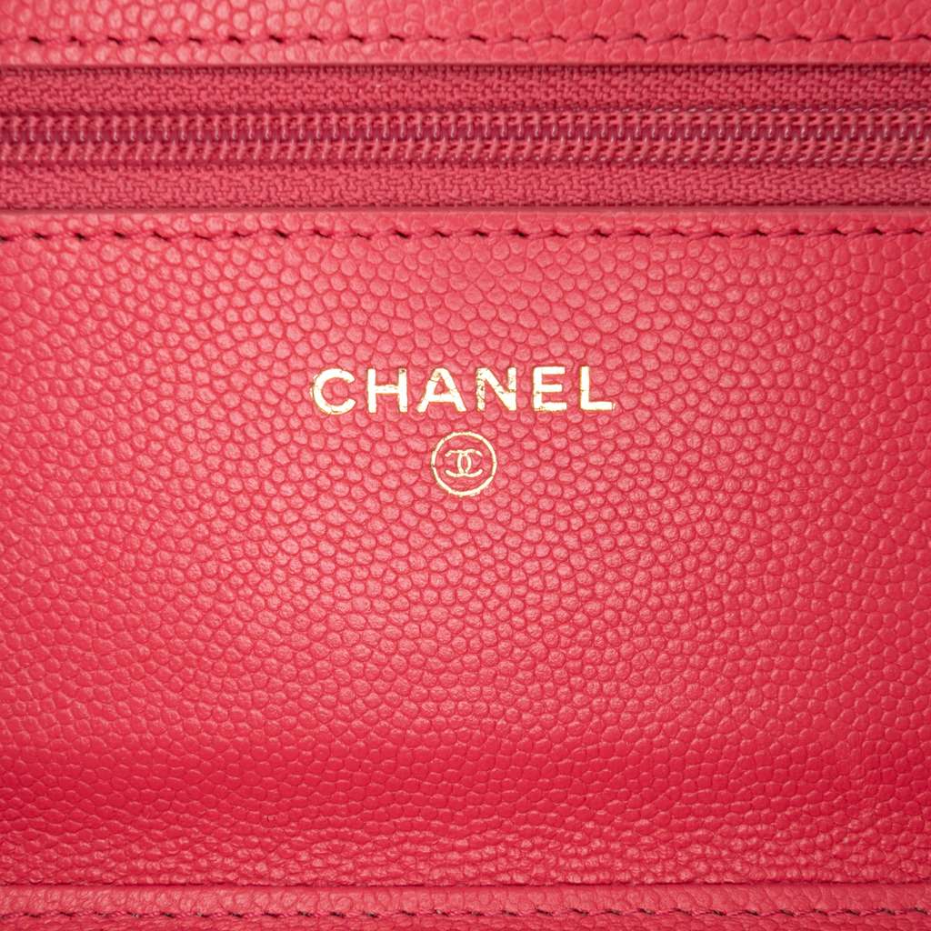 Chanel CC Chevron Caviar Ancient Greek Charms Wallet On Chain - Side view