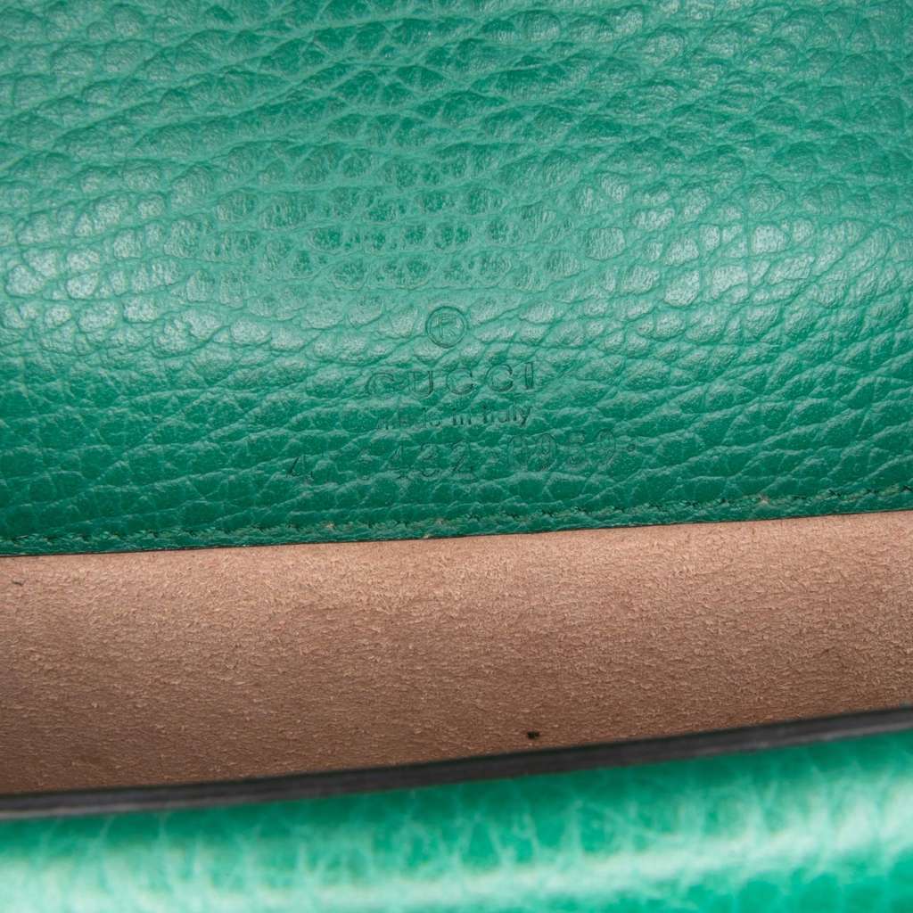 Gucci Mini Leather Dionysus Crossbody - 5