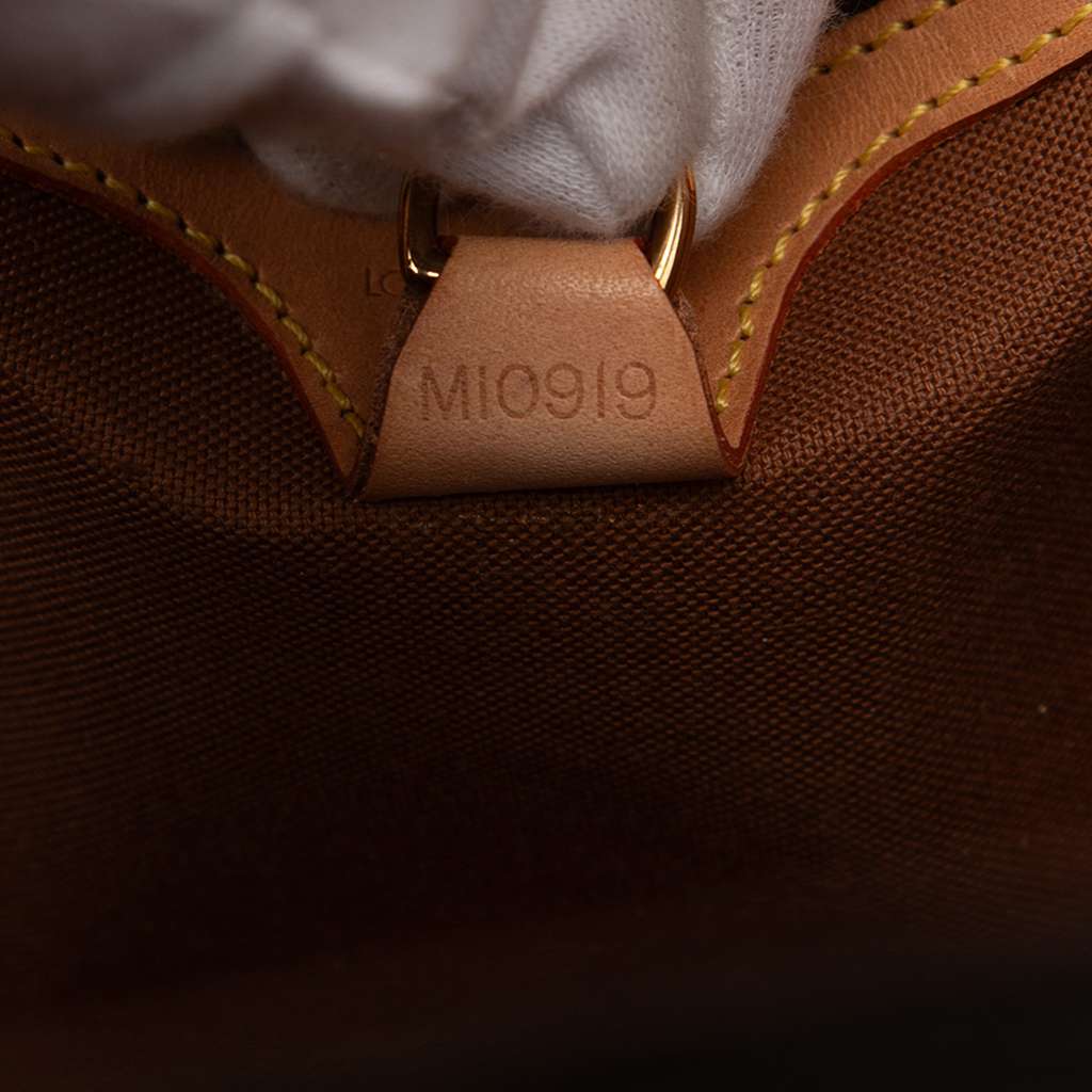Louis Vuitton Monogram Ellipse PM - Detail 1