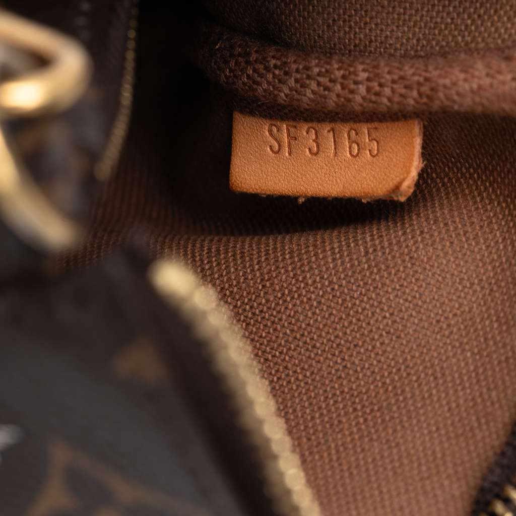 Louis Vuitton Monogram Evasion Illustre Mini Pochette Accessories - Side view