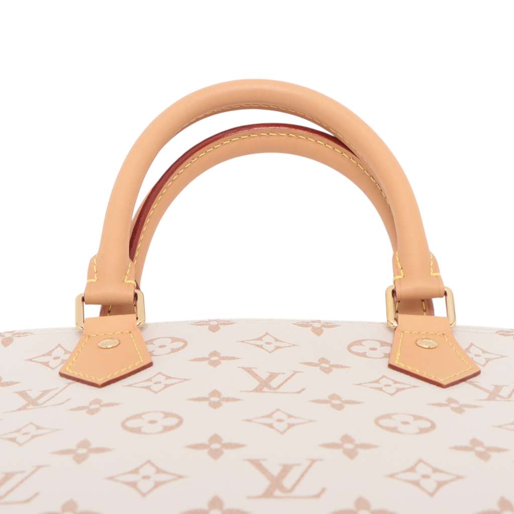 Louis Vuitton Monogram Dune Alma GM - Image 10