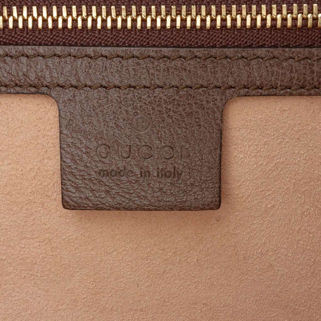 Gucci Small GG Supreme Web Ophidia Satchel - 5