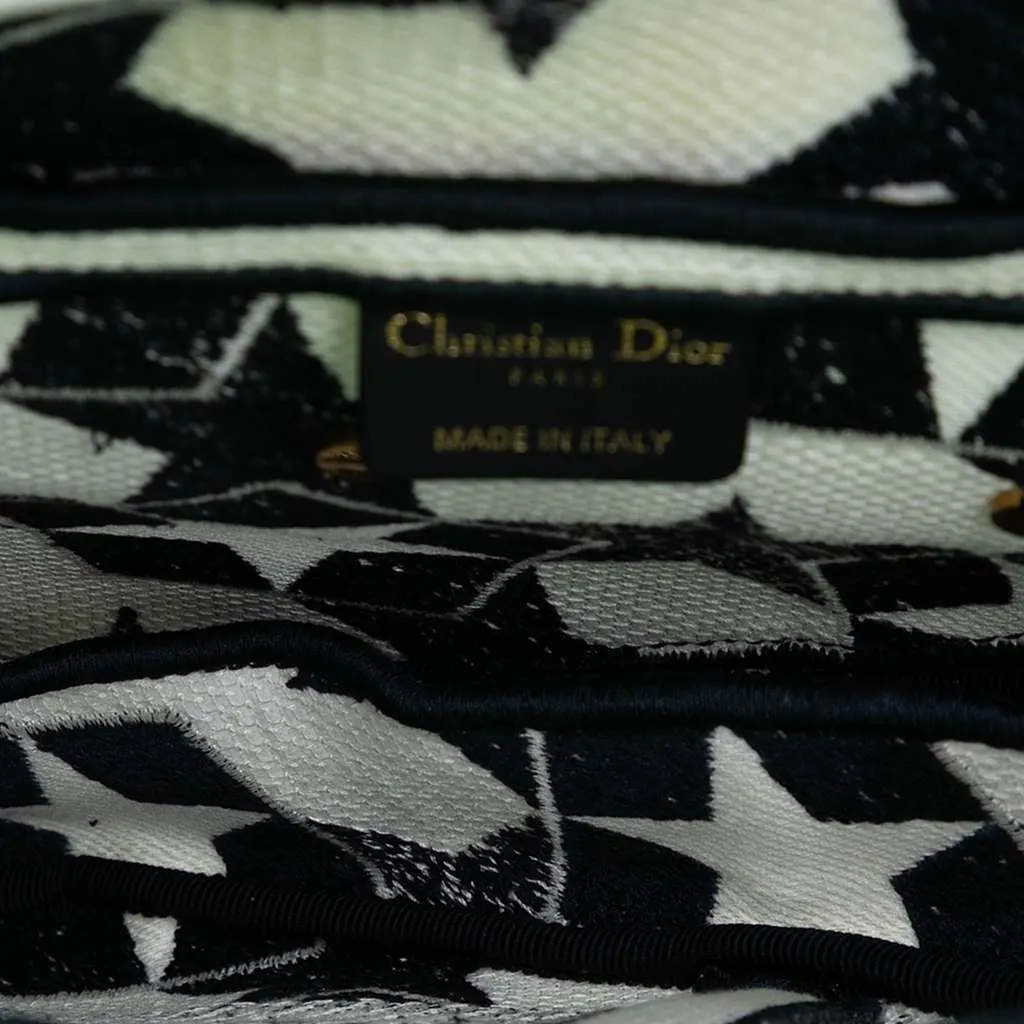 Dior Embroidered Canvas Stars Saddle Bag White Canvas Very good - Model View
