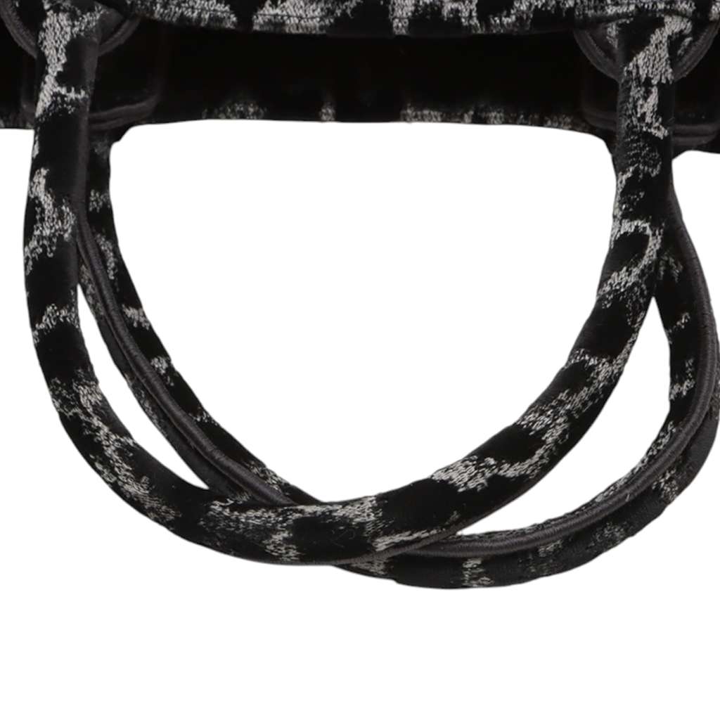 Dior Mizza Medium Embroidered Velvet Leopard Book Tote - Image 10
