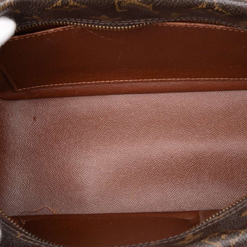 Louis Vuitton Monogram Cite MM - 4