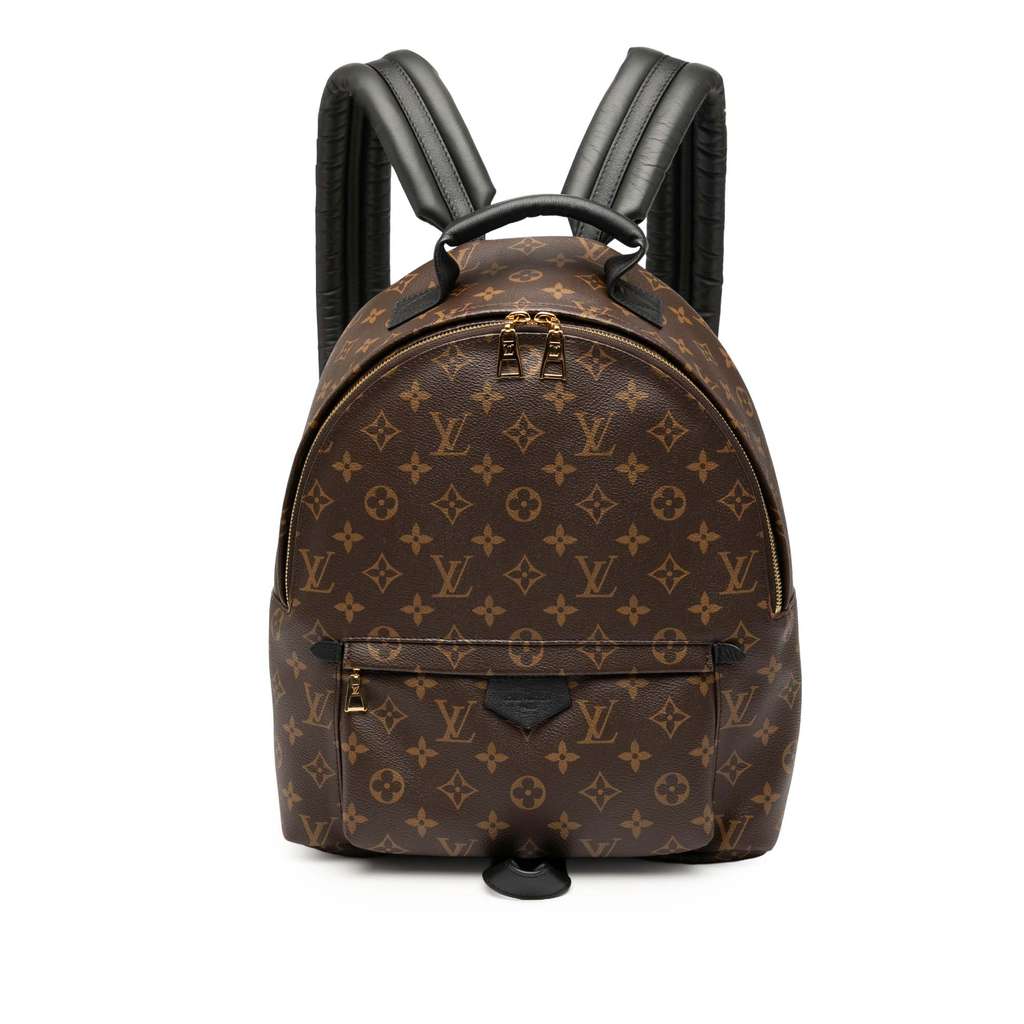 Louis Vuitton Monogram Palm Springs MM