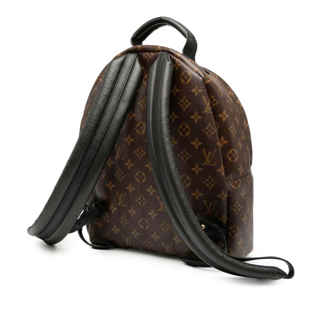 Louis Vuitton Monogram Palm Springs MM - Back view