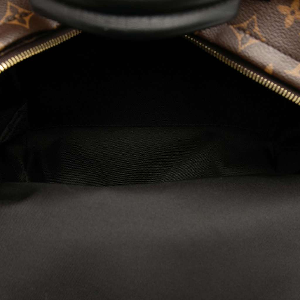 Louis Vuitton Monogram Palm Springs MM - 4