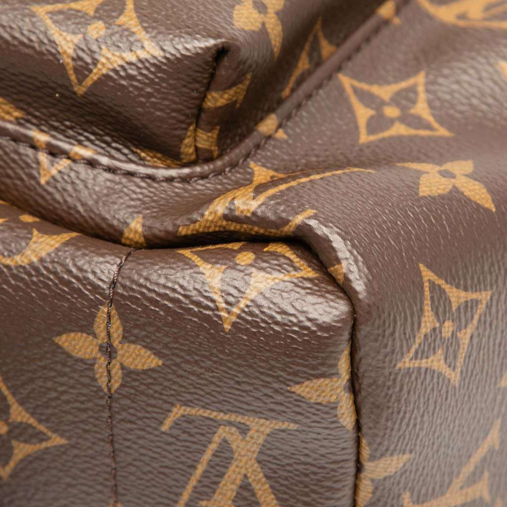 Louis Vuitton Monogram Palm Springs MM - Detail 1