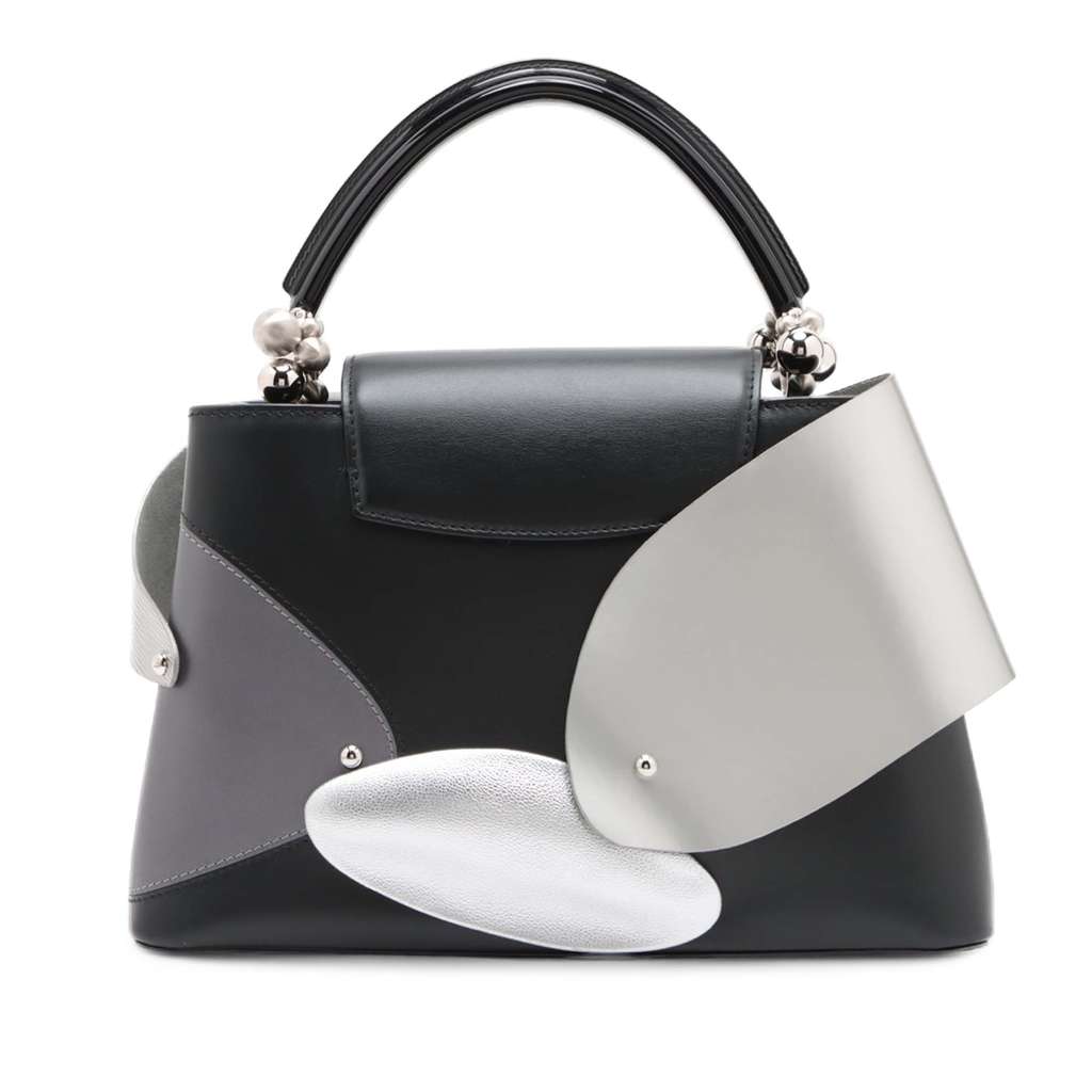 Louis Vuitton Limited Edition Liu Wei Artycapucines Calfskin Capucines MM - Back view