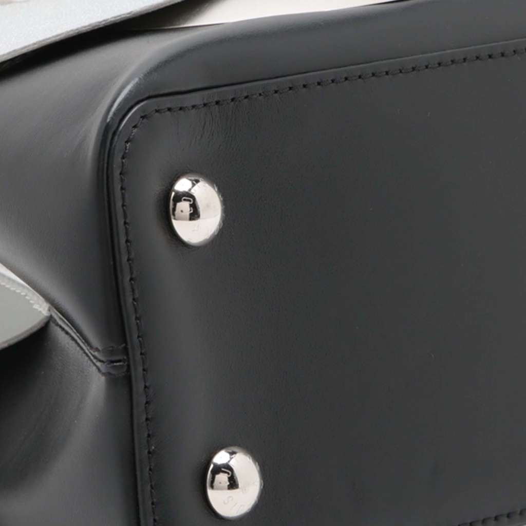 Louis Vuitton Limited Edition Liu Wei Artycapucines Calfskin Capucines MM - Detail 1