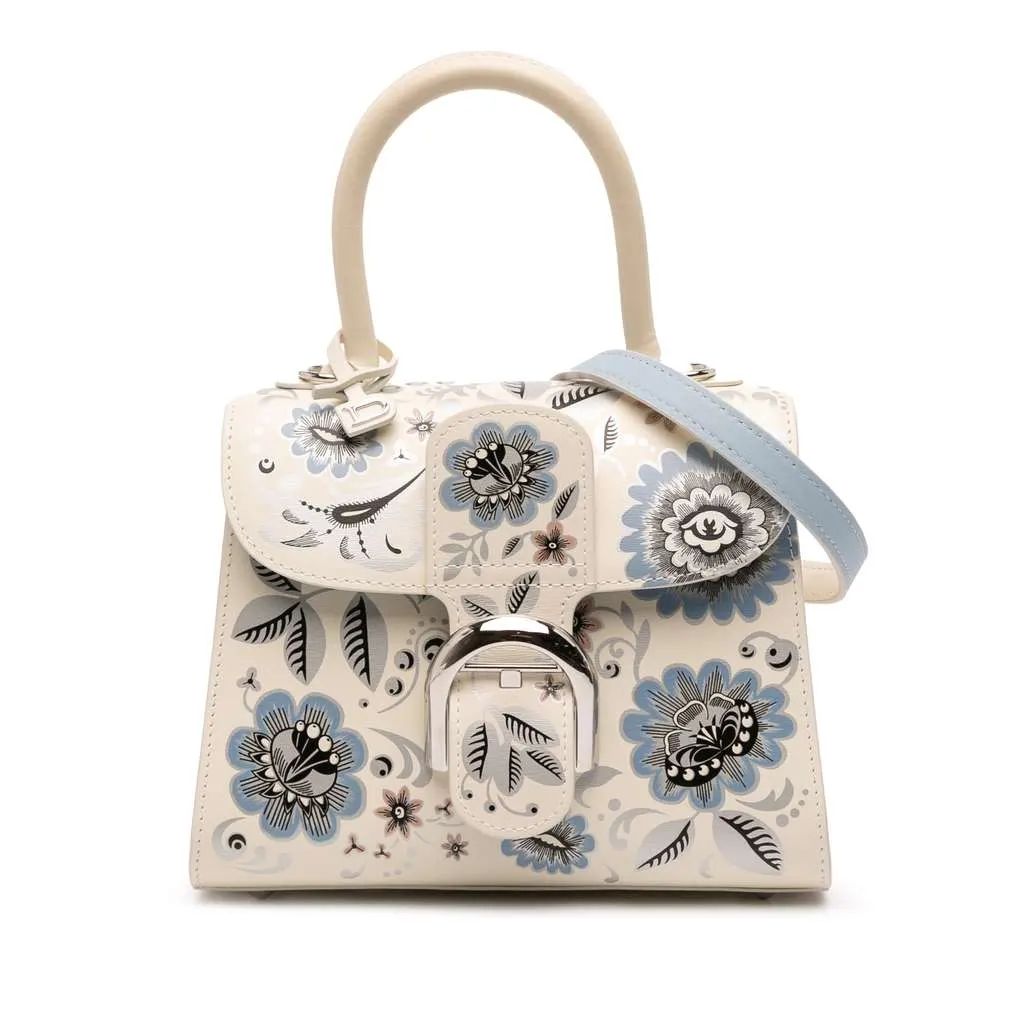 Delvaux MIni Smooth Calfskin Brillant Blooming Crystalline Satchel Brown Leather Very good - Front View