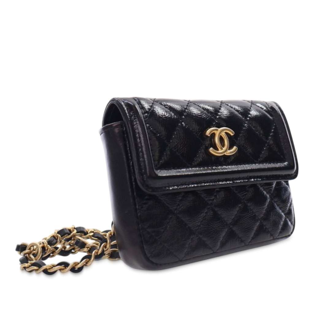 Chanel Quilted Shiny Aged Calfskin Waist Belt Bag - Back view