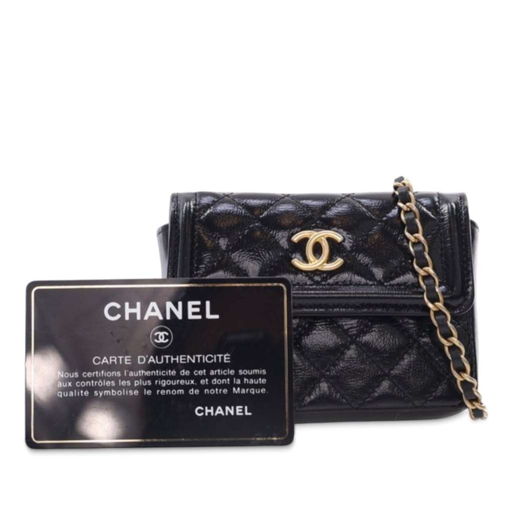 Chanel Quilted Shiny Aged Calfskin Waist Belt Bag - Image 14