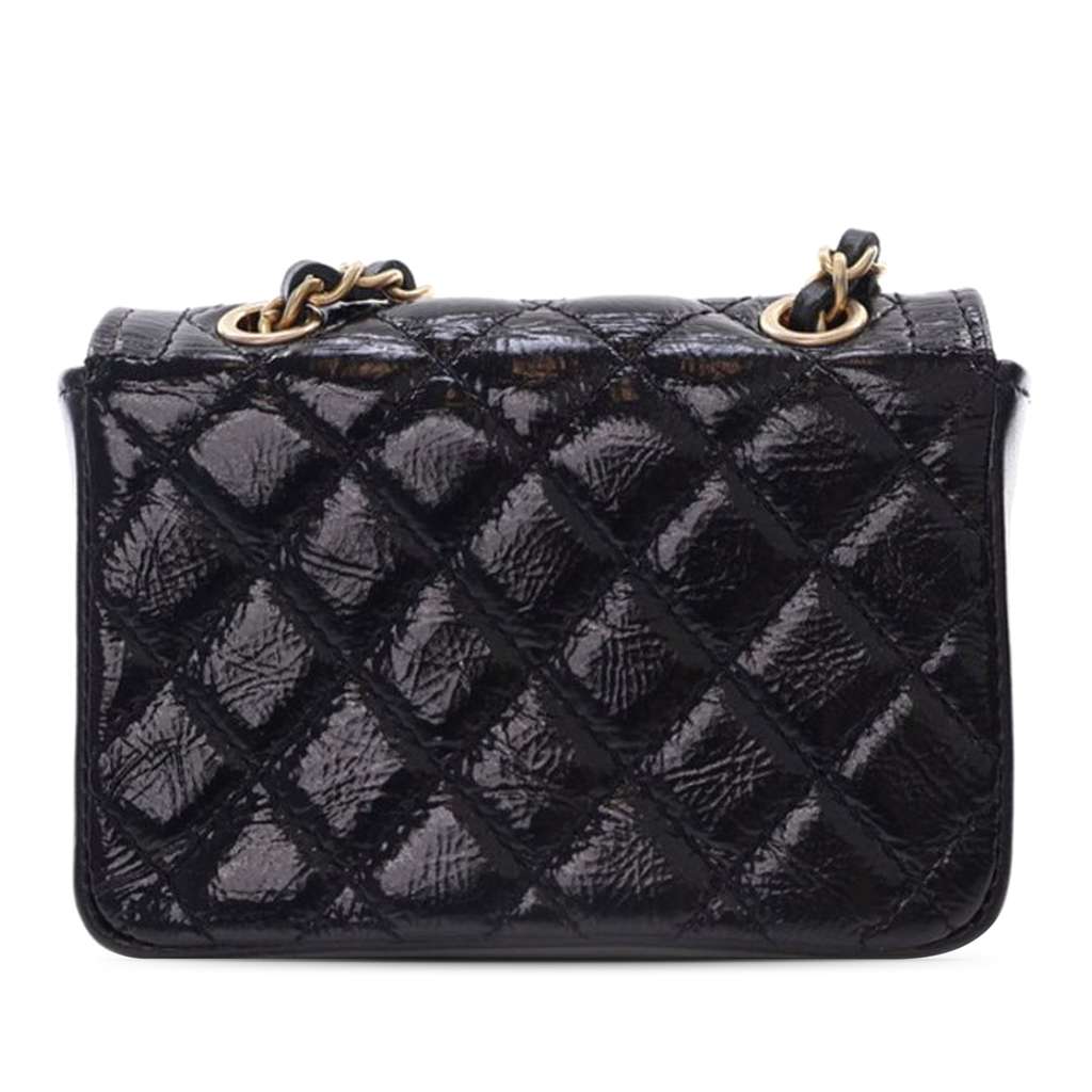 Chanel Quilted Shiny Aged Calfskin Waist Belt Bag - Back view