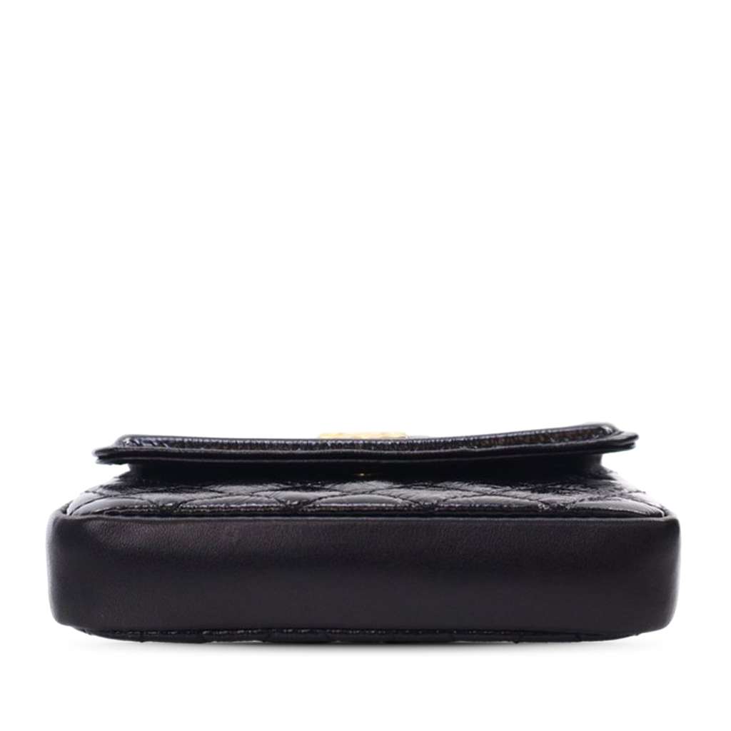 Chanel Quilted Shiny Aged Calfskin Waist Belt Bag - Image 6