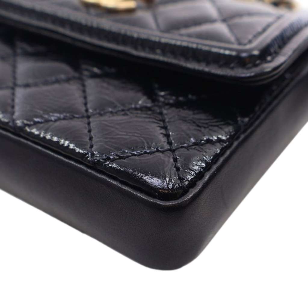 Chanel Quilted Shiny Aged Calfskin Waist Belt Bag - Image 11