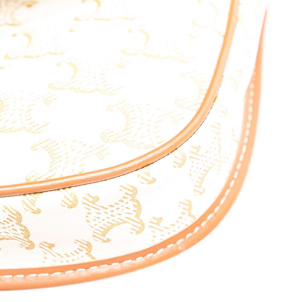 Celine Mini Triomphe Coated Canvas Besace Crossbody - Image 10