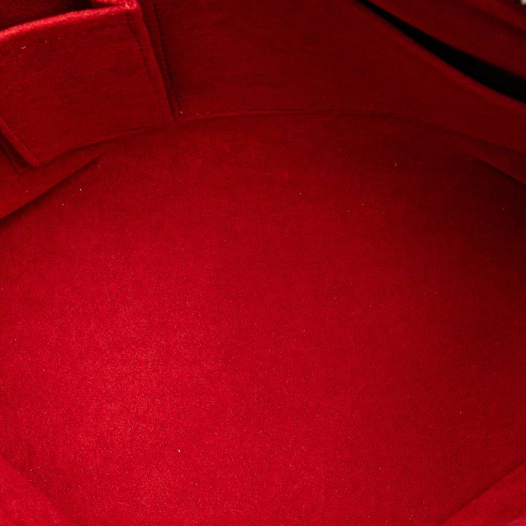 Louis Vuitton Damier Ebene Saleya PM - 4