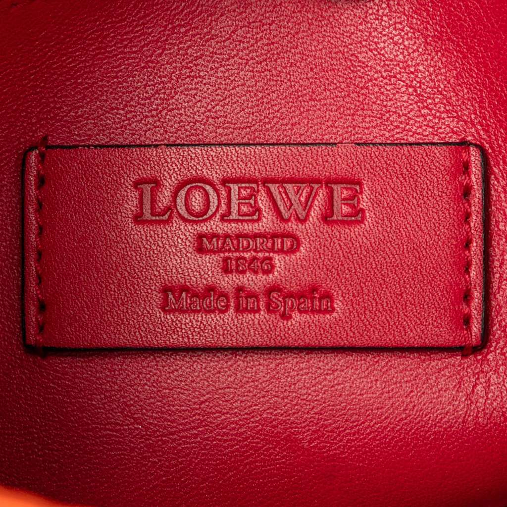 Loewe Leather Anagram Sofia Crossbody - Side view